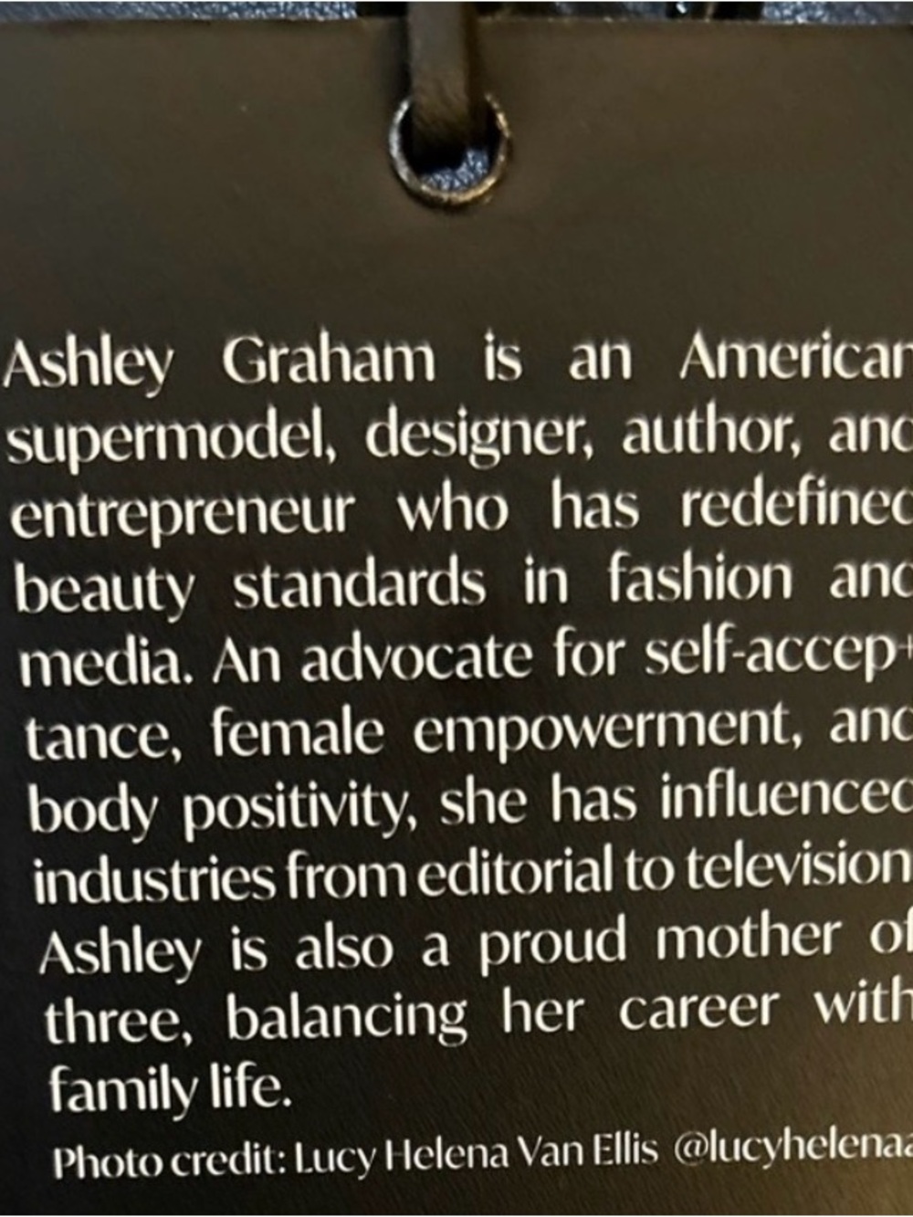 Ashley Graham Black Faux Leather V-Neck Dress - Picture 3 of 3